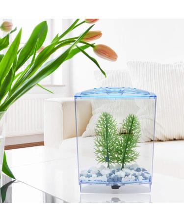 Cuque May Gifts Blue Insulation Panels Mini Transparent Fish Tank Mini Aquarium Tank Hatching Incubator Aquarium(Single Grid) - Buy Online on GoSupps.com
