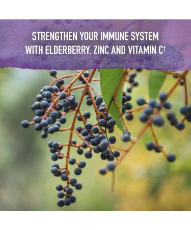 Garden of Life Elderberry Zinc Immune Support Syrup for Adults & Kids 12+, Vitamin C, Sleep Herbs - 6.59 fl oz - Buy Online on GoSupps.com
