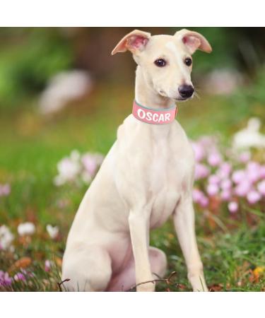 Personalized PU Leather Dog Collar for Big Dogs | Soft Thick Padded Design | Custom Name for Rottweiler & Mastiff | Rosa XL (Neck 48-58cm Width 5cm) - Buy Online on GoSupps.com