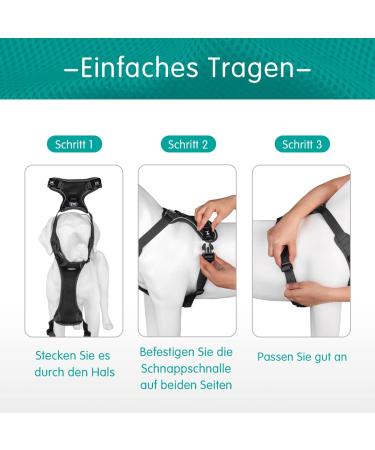 POPOTET Reflective Dog Harness - Soft Breathable Mesh Vest Adjustable Neck & Breast No Suffocation - Small Black (1 Pack) - Buy Online on GoSupps.com