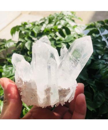 350g-900g Natural Clear Quartz Stone White Crystal Cluster 1pc HOMEZHOU (Color : 1pc 510g-560g) - Buy Online on GoSupps.com
