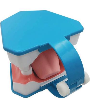 BFEIWGHA Teeth Model - Standard Dental Study Tool | 6X Enlarged Mouth Dental Model for Kids | Ideal for Teaching & Demonstration - Buy Online on GoSupps.com