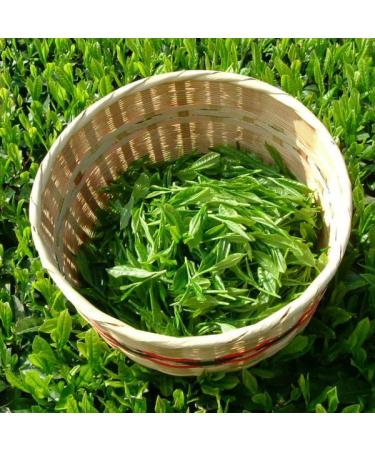 Premium Matcha Green Tea from Japan | Ceremonial & Standard Quality Yame No Hana - Top-Grade Green Tea Powder - Buy Online on GoSupps.com