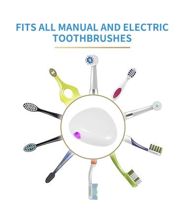 TAISHAN UV Sanitizer Toothbrush Case - Portable Rechargeable Holder for All Toothbrushes - Home and Travel Safety - White - Buy Online on GoSupps.com