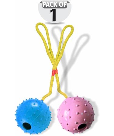 Ball On Rope Dog Toy Heavy Duty Pet Chew Rope Pimpled Ball Interactive Dog Pull & Tug Toy Studded Ball Tugger For All Dog Puppy Essentials Pet Accessories 40cm X 6.5cm Assorted Colours (Pack Of 1) - Buy Online on GoSupps.com