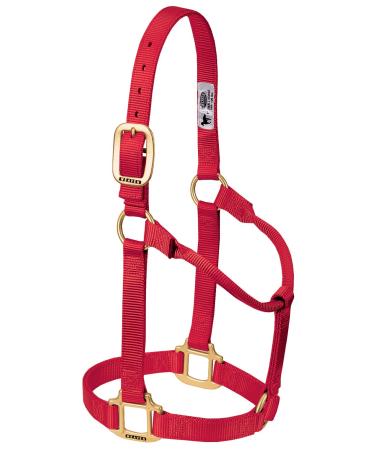WEAVER Leather Non-adjustable Halter Red/Outing Solid (Getaway Solids) Weanling/Pony - Buy Online on GoSupps.com