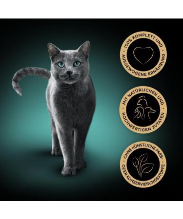 Sheba Katznassfutter Delicatesse in Jelly - 72x85g Fine Poultry Wet Cat Food (Duck Chicken & Turkey) - International Shipping Available - Buy Online on GoSupps.com