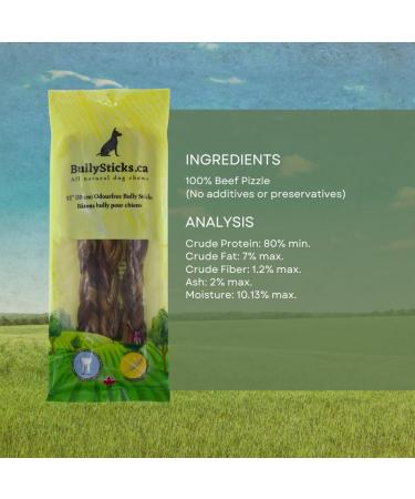 12" Braided ODOURFREE Bully Sticks (3 Pack) Dental Chew-Rawhide Free - Buy Online on GoSupps.com