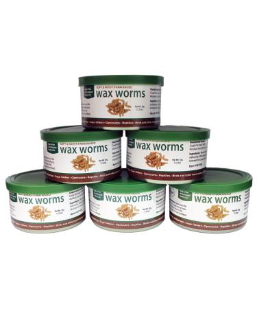 Exotic Nutrition Canned Wax Worms 35 g/ 1.2 oz (6 Pack)