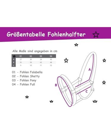 Shop QHP Foal Halter - Nylon Foal Sizes & 6 Colors | Fallabella Foal Blue - Buy Online on GoSupps.com