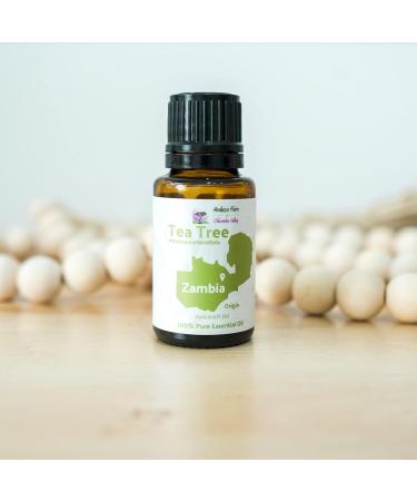 100% Pure Tea Tree Oil - Therapeutic Grade - Direct from Arulussa Farms Zambia - Bulk Essential Oils (15ml - Buy Online on GoSupps.com