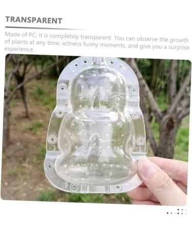 CIYODO Plastic Fruit 2pcs Vegetable Shaping Mold Clear Fruit Strawberry Growing Molds Small Shaping Mold Pc Material - Buy Online on GoSupps.com