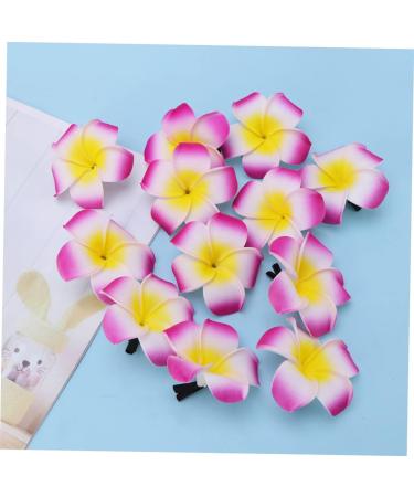Angoily Hair Accessory for Girls Hair Clips for Girls Barrettes for Girls Hibiscus Flower Hair Clips Summer Hair Clips Accesorios Para Plumeria Hair Clip Hair Accessories The Flowers - Buy Online on GoSupps.com