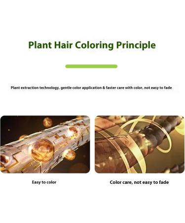 Rubu22a Bubble Mousse Hair Color Shampoo 500 ml foam hair dye dye caring intensive coloring with shine reflex balm Casting Cr me Gloss hair dye coffee - Buy Online on GoSupps.com