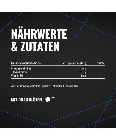 Gym Nutrition Creatine Monohydrate Powder 125 kg 1250 g ultrapure creatine monohydrate with vitamin B6 optimally high dosage vegan oneyear supply 125kg - Buy Online on GoSupps.com