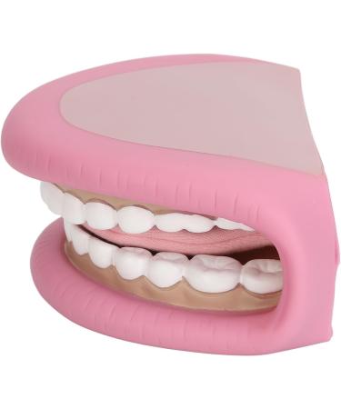 Dental Care Model for Kids | Flexible False Teeth for Speech & Language Development - Buy Online on GoSupps.com