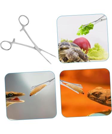 GRIRIW Reptile Feeding Clip Terrarium Supplies Feeding Tongs Silver Stainless Steel - Buy Online on GoSupps.com