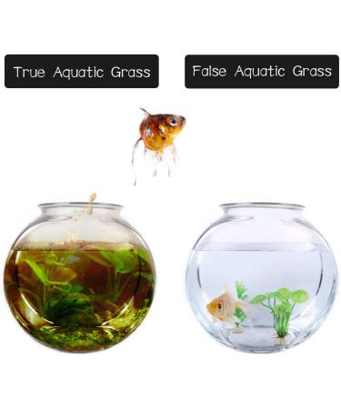 Buy Huayue 15-Piece Plastic Aquarium Plants | Colorful & Versatile Aquarium Decorations for Aquatic Bliss - Buy Online on GoSupps.com