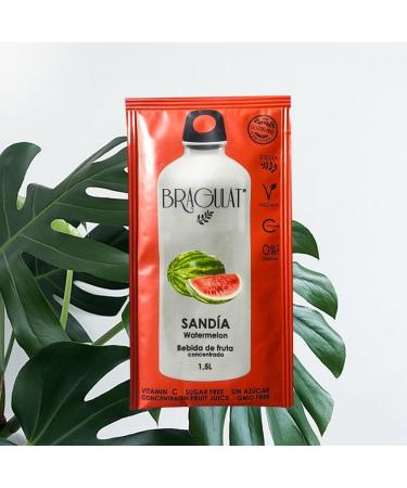  BRAGULAT Bragulat Juices Drinks and Instant Coolers in Concentrated Fruit Powder Watermelon - 15 Envelopes - Buy Online on GoSupps.com