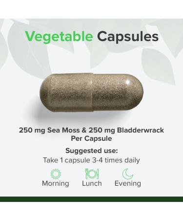 RP Irish Sea Moss & Bladderwrack 250mg Powder - 180 Vegan Capsules for Health & Wellness | International Shipping Available - Buy Online on GoSupps.com