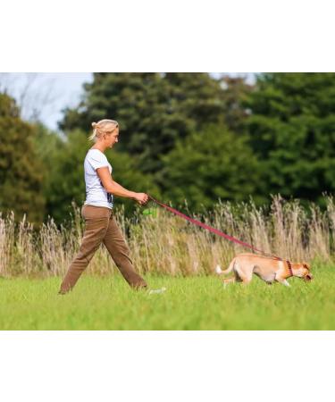 Taglory Heavy-Duty Dog Leash for Medium & Large Dogs | Reflective Padded Handle | Supports 10-75 kg | 1.8m x 2.5cm | Pink - Ideal for Comfortable Walks - Buy Online on GoSupps.com