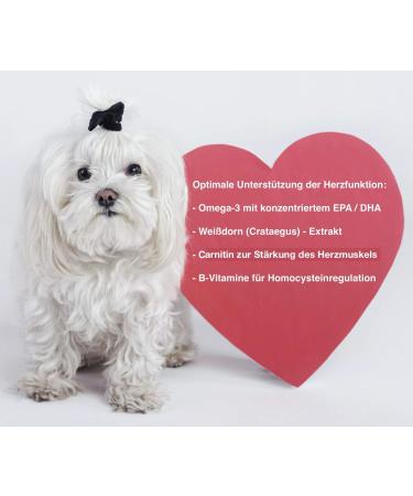 Canimove Spar-Set for Dogs: Cardio & Senior Mini Supplements (100 Capsules) | Veterinary Formula for Heart & Eye/Brain Disorders - Buy Online on GoSupps.com