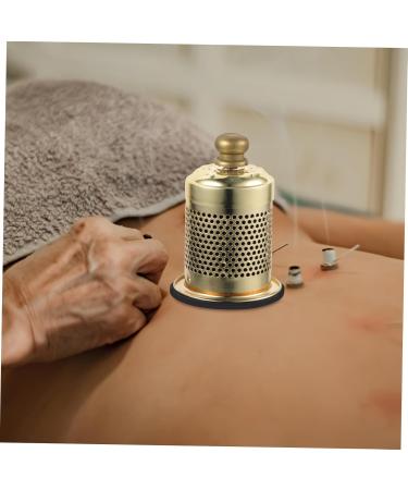 Buy Healvian Moxibustion Box Portable Kegel Holder & Moxa Massage Device Air Purifier Rod Burner Optimized for International Shipping - Buy Online on GoSupps.com