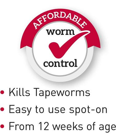 Beaphar 2 X Wormclear Spot-On Solution for Cats 21 g - Buy Online on GoSupps.com