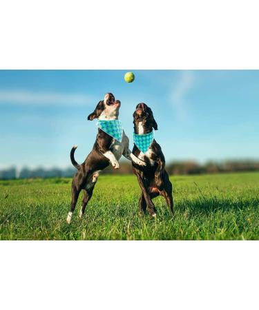 Lionet Paws Dog Bandana - Triangular Headscarf for Small Medium & Large Dogs | Stylish Dog Scarf with Tennis Ball Design - Buy Online on GoSupps.com