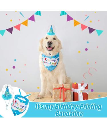 EXPAWLORER Dog Birthday Bandana Set - Cute Hat and Squeaky Cake Toy | Birthday Party Supplies Gift for Small Medium Large Dogs - Buy Online on GoSupps.com