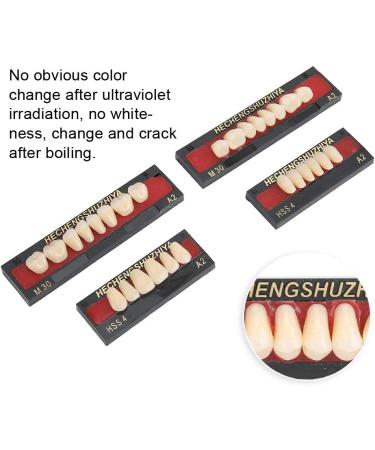 Ankroyu Temporary False Teeth - Synthetic Resin Dental Care Tool for Oral Cavity Loss | Upper & Lower Teeth Filling - Buy Online on GoSupps.com