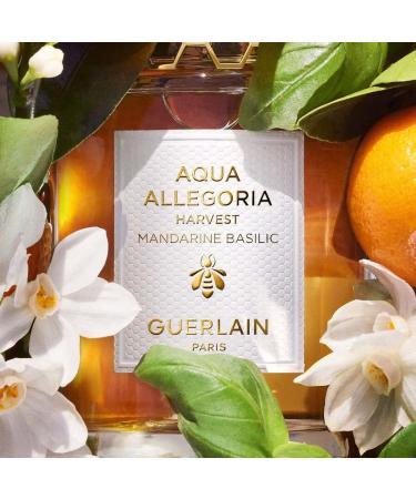 GUERLAIN Aqua Allegoria Harvest Mandarine Basilic Eau De Toilette Spray for Women 4.2 Ounce - Buy Online on GoSupps.com