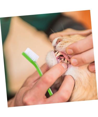 DOITOOL Pet Toothbrush 10pcs Tooth Nylon -head Brush Toothbrush Cat Supplies Pets Teeth Handheld Puppy for Oral Pet Toothpaste - Buy Online on GoSupps.com