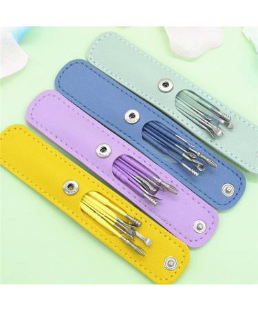 Stainless Steel Ear Cleaning Kit - 6 Pcs Ear Pick & Wax Removal Tool Set in Leather Box - Kid & Adult Safe - Portable & Professional (Blue) - Buy Online on GoSupps.com
