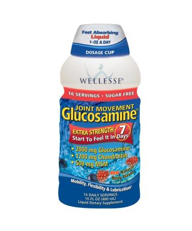 Wellesse Joint Movement Glucosamine with Chondroitin + MSM Natural Berry Flavor 16-Ounce (480 ml) (Pack of 2)