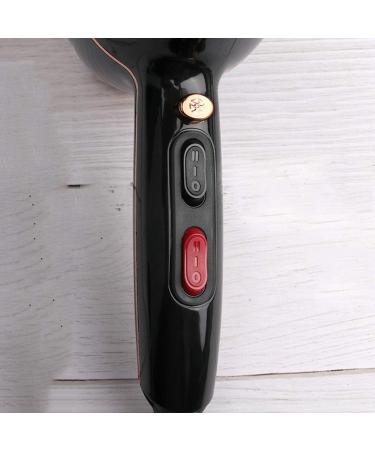 Professional Hair Dryer Ionic Hairdryer 1600W Hair Dryer for Women 2 Speed 3 Heat Settings and Cool Shot Button with 2 Nozzles Negative Ion and Constant Temperature for a Frizz Free Shine Hair Care - Buy Online on GoSupps.com