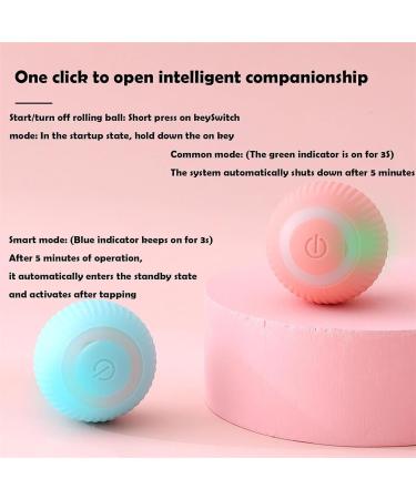Wloom Power Ball 2.0 Cat Toy Aiveys Cat Ball Aiveys Smart Ball Cat Zombie Balls for Cats Playtime Gertar Cat Toy (Blue) - Buy Online on GoSupps.com