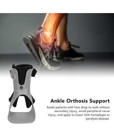 Rotary Buckle Ankle Foot Orthosis Support for Walking | Hemiplegia Aid (Left Foot M) - Buy Online on GoSupps.com