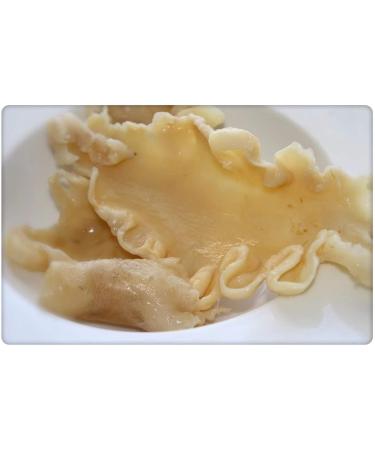 ICEBERG Dried Fish Maw - Natural Collagen Rich Sustainably Sourced from Arctic Ocean best gift for Asian and chinese 226.7 g (Pack of 1) - Buy Online on GoSupps.com