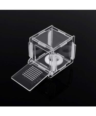 Newwyt Mini Ant Nest Small Colony Feeding Nest with Test Tube Plane Nest Ants Farm House Glass Tubes Ant Nest Transparent AcrylicGlass - Buy Online on GoSupps.com