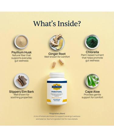 Paratoxil - Daily Gut Cleanse with Psyllium Husk Fiber & Black Walnut for Humans - with Slippery Elm Aloe Chlorella & Ginger - Natural & Plant-Based Cleanse - 60 Capsules - Buy Online on GoSupps.com