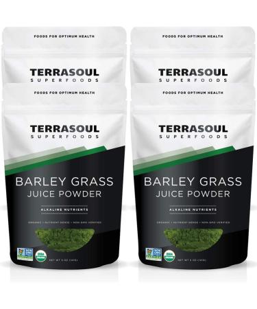 Terrasoul Superfoods Organic Barley Grass Juice Powder, 20 Ounces - USA Grown