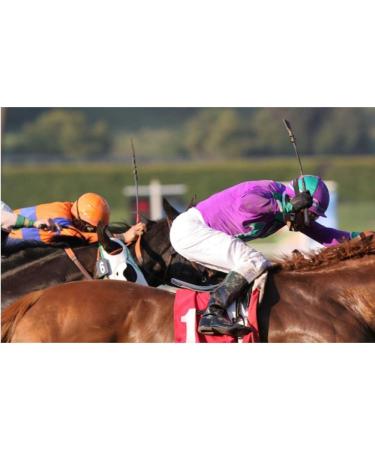 27 Inch Purple Riding Crop for Horse | Fiberglass Shaft with Leather Double Slapper - Buy Online on GoSupps.com