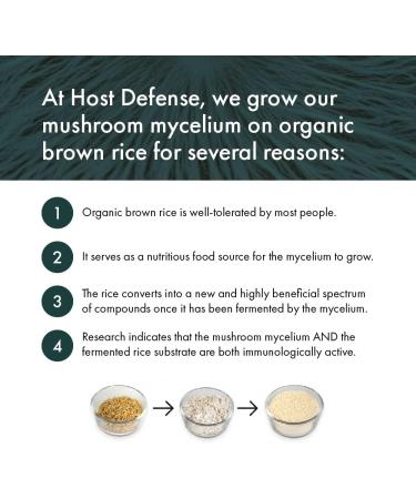 Host Defense Turkey Tail Mushroom Capsules Immune Support Mushroom Supplement Source of Fungal Polysaccharides Certified Organic Vegetarian Capsules 1000 mg Potency Turkey Tail Mushroom Capsules 60 count (Pack of 1) - Buy Online on GoSupps.com