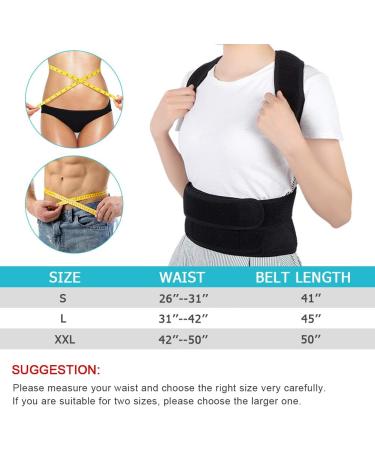 Adjustable Back Brace Posture Corrector for Men & Women | Lumbar Waist Support Belt | Improve Posture & Relieve Pain (L 31-42 - Buy Online on GoSupps.com