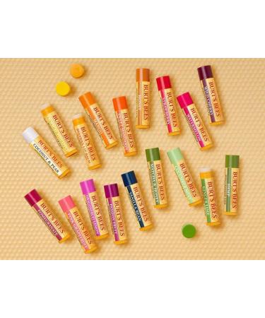 Burt's Bees 12 Count Lip Balm Variety Gift Pack -Stocking Stuffer - Assorted Flavors - Flavors Choosen at Random