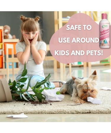 EcoEraser Stain & Odor Remover | Liquid Carpet Rug & Upholstery Cleaner | 32 oz Pet Deodorizing Spot Cleaner - Buy Online on GoSupps.com