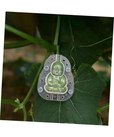 SUPVOX Vegetable Mold 4pcs Fruit Mold 3D Fruit Mousse Shaper Mold Adorable Forming Mold Strawberry Pumpkin - Buy Online on GoSupps.com