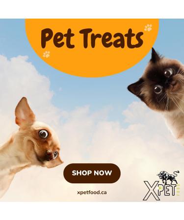 X Pet Food - Beef Ears for Dogs -%100 Beef Hight Protein Fully Digestible Odor Free Chews Supporting Dental Health Delicious Dog Snacks Reducing Destructive Chewing - (4 Piece) Ears 4 count (Pack of 1) - Buy Online on GoSupps.com