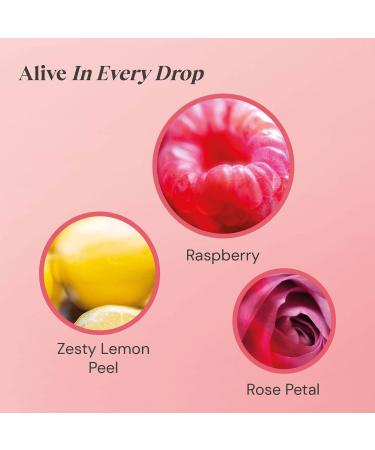 Twinings Raspberry & Lemon Tea Bags 20 each RASPBERRY/LEMON Single - Buy Online on GoSupps.com